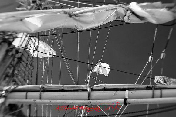 bay-city-tall-ships-2010-infared_14-nik