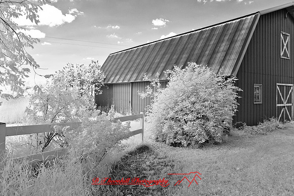 infrared_images-2012-008