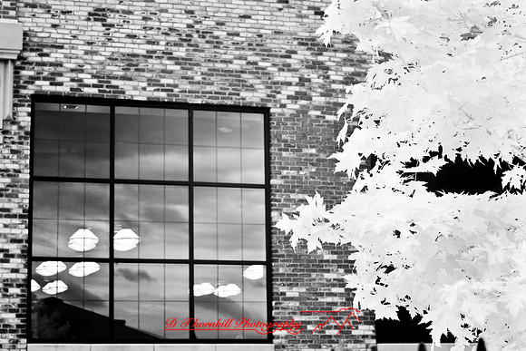 bay_city-infrared-2008_12