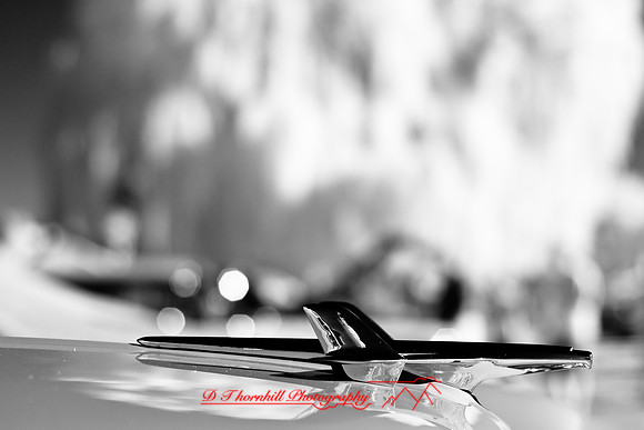 muth-car-show-infrared-2008_11