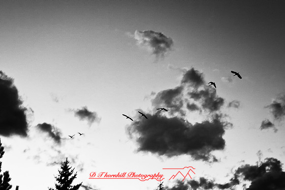 infrared-bay-city-2010-40-nik