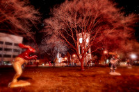 assorded_images-2012_5-01_HDR