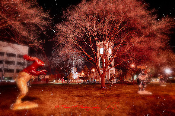 assorded_images-2012_5-01_HDR
