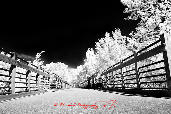 infrared-2008_124
