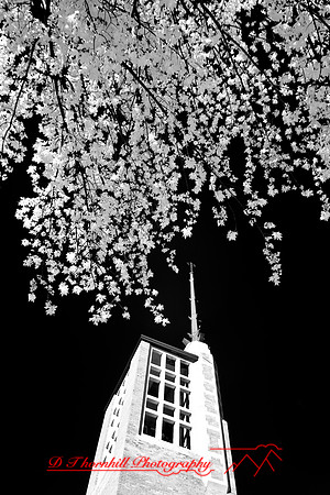 infrared-2008_009