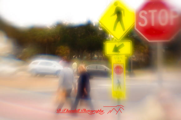 florida-2010-people_04