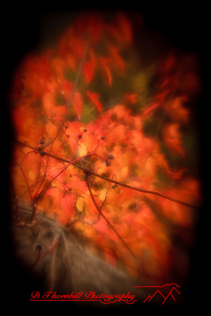 assorted-images-2010_97