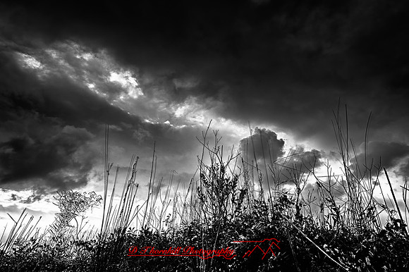 tawas-state-park-2011-2-01_HDR