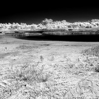 florida-2014-infrared-005