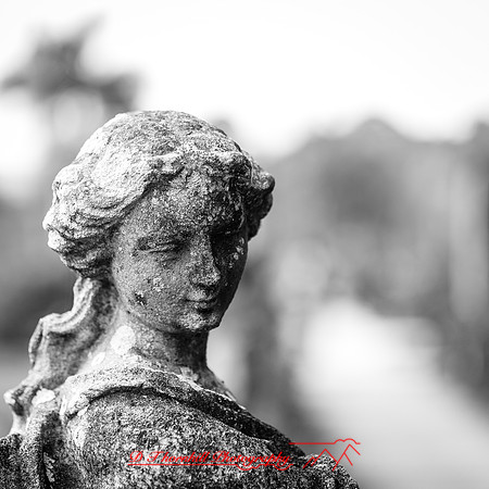 florida-march-2016-061