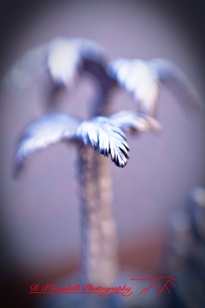 assorted_images-2008_39.jpg