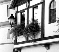 assorted-images-2006_026