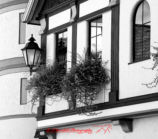 assorted-images-2006_026