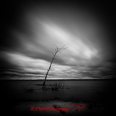 tawas state park - 2021 - 007
