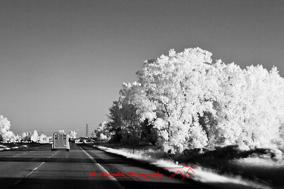 infrared-2008_146.jpg