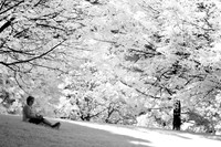 infrared-2008_066