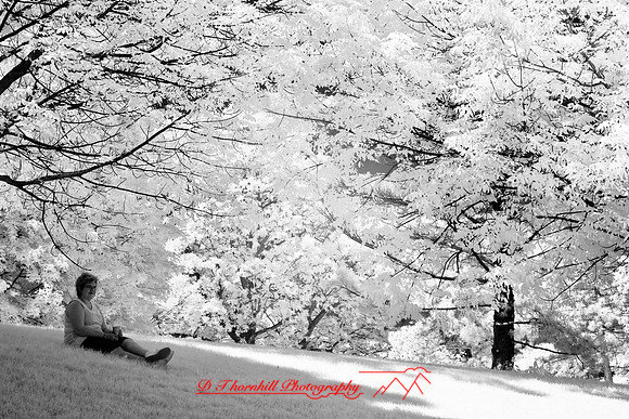 infrared-2008_066