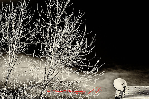 infrared-2009-random_05-nik.jpg