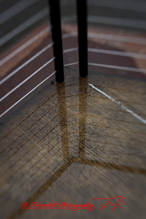 assorted_images-2009_57.jpg