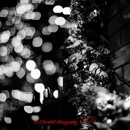 saginaw-christmas-2017-016