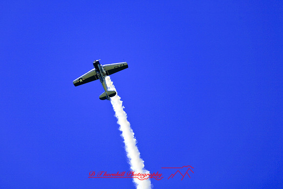 bc-airshow-06_snj_trainer-43