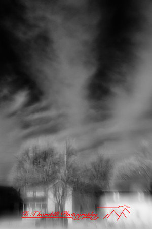 infrared_images-2011-28