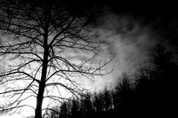 shiawassee_infrared_feb-2008_03
