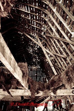 assorted_images-2007-20