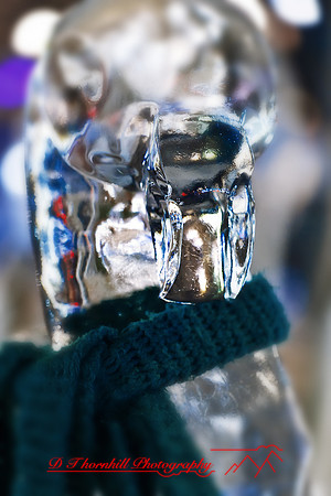assorted_images-2011-108-nas