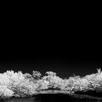 florida-2014-infrared-002