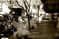 infrared-2009-people_13-nik.jpg