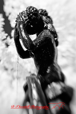 infrared-2010-random_020