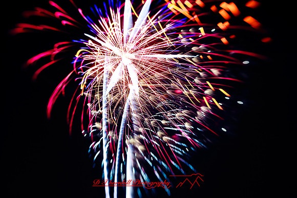 bay-city-fireworks-2009_13.jpg