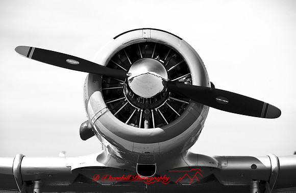 bc-airshow-2007-rebels_21