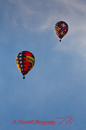 midland-balloon-2010_13-nik