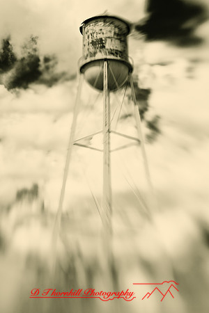 assorted_images-2009_046-nik.jpg