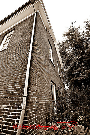assorted_images-2007-65