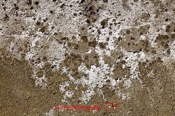 assorted_images-2011-184