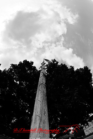 assorted_images-2007-73