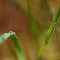 shaiawasses-april-2013-04