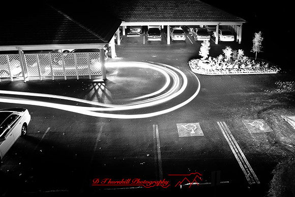 florida-2009-images-infrared_31.jpg