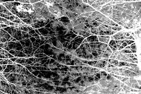 infrared-2009-nature_05-nik.jpg