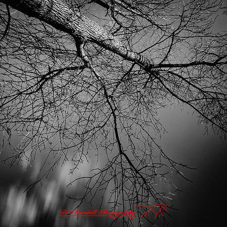 shadow-light-project-bay-city-state-park-2014-009-nas