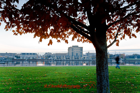 bay_city_images_2007-12