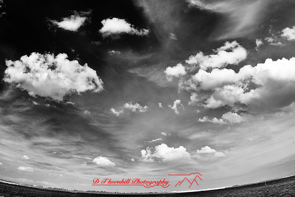 florida-2009-images-infrared_27.jpg