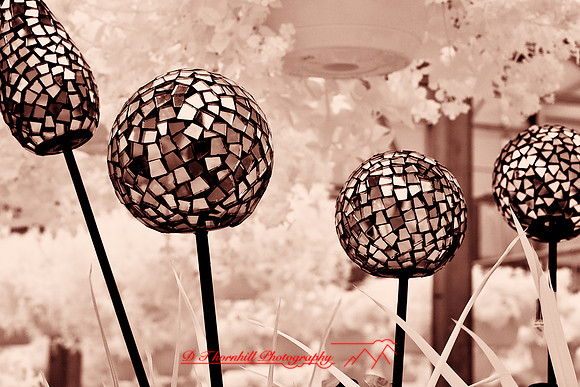 infrared-2009-random_15-nik.jpg