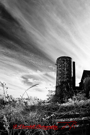 infrared_images-2012-028