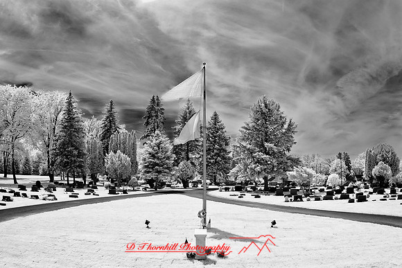 infrared-2009-random_22.jpg