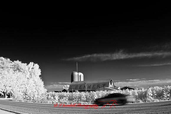 infrared-2008_103