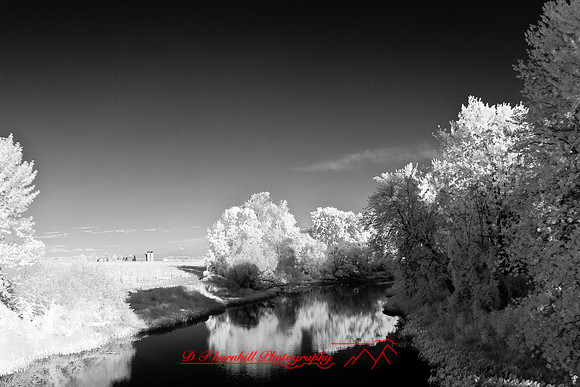infrared-2008_105